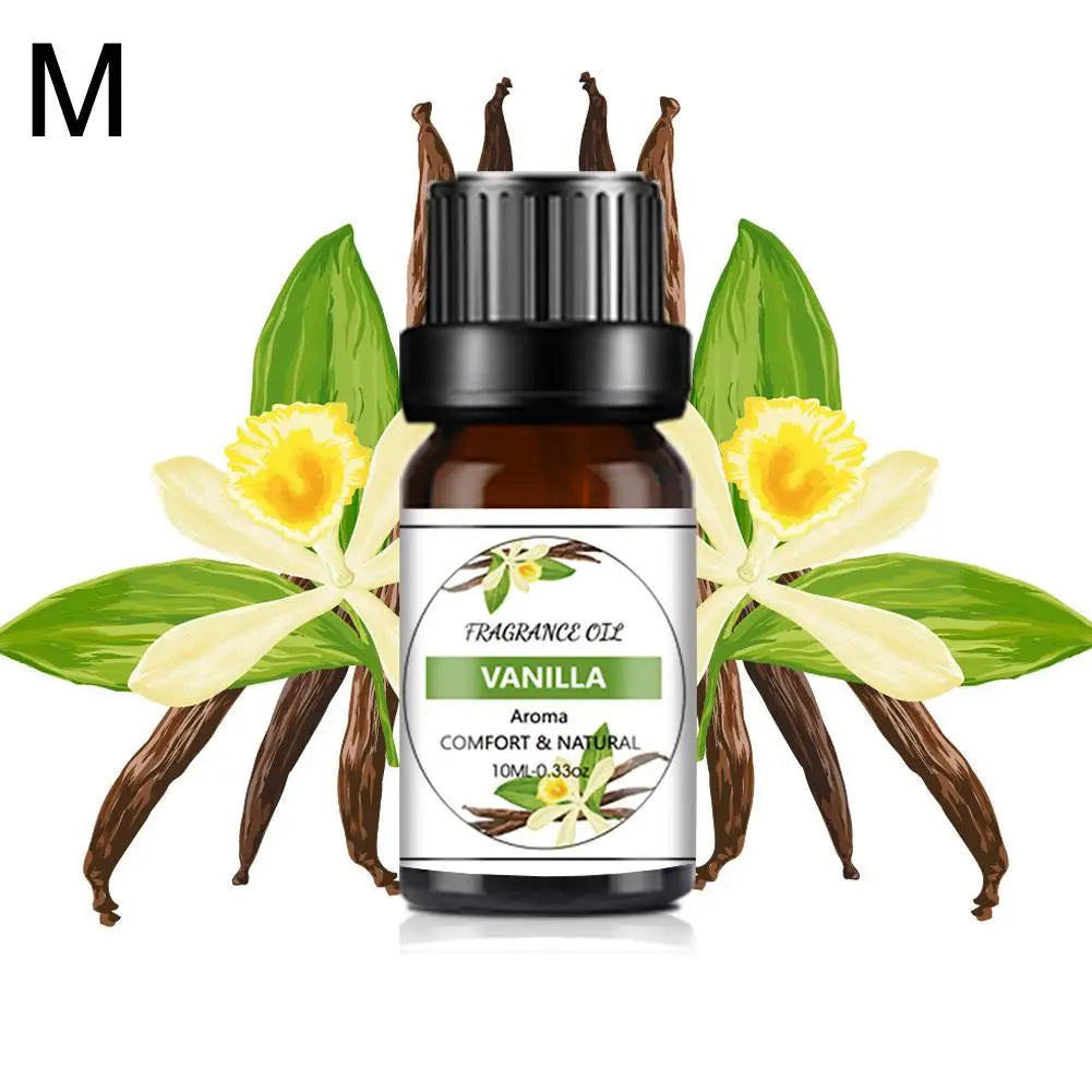 Recharge de Parfum Voiture 10ML – Parfums Floraux & Fruités – Désodorisant Liquide Compatible Diffuseur Auto