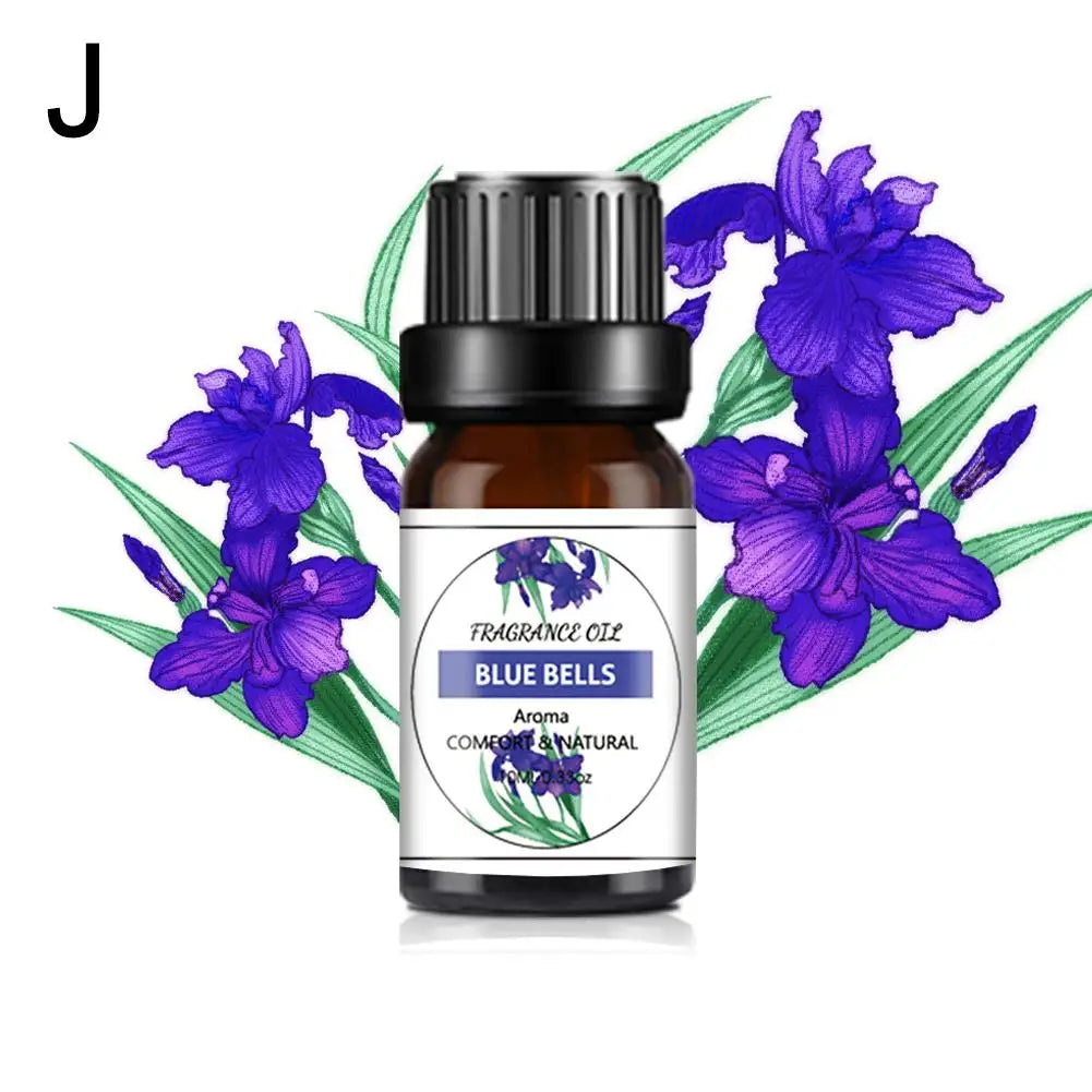 Recharge de Parfum Voiture 10ML – Parfums Floraux & Fruités – Désodorisant Liquide Compatible Diffuseur Auto