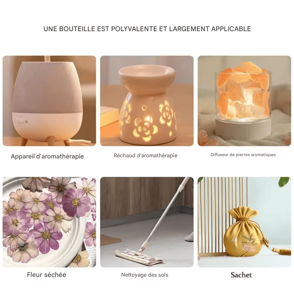 Recharge Huile Essentielle Aromathérapie 10ml – Parfum Voiture/Maison avec Compte-Gouttes | Purifiant Naturel, Non Toxique, Forme Liquide