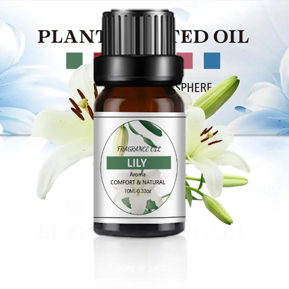 Recharge de Parfum Voiture 10ML – Parfums Floraux & Fruités – Désodorisant Liquide Compatible Diffuseur Auto