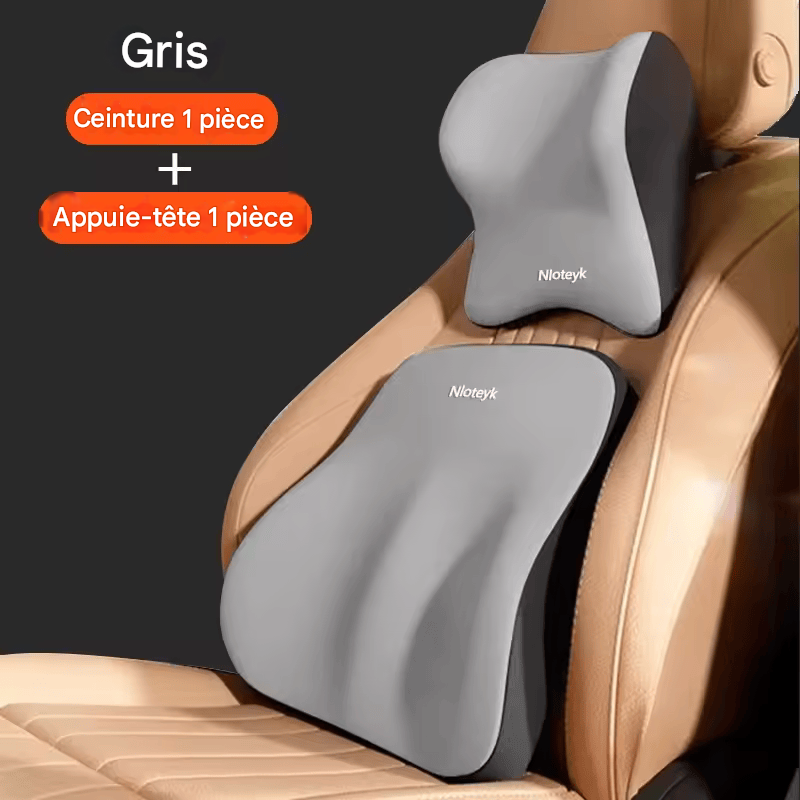 đ·ïžNouveau Coussin Lombaire pour Voiture en Mousse Ă MĂ©moire de Forme â Soutien Cervical et Lombaire, Dossier Amovible et Lavable, Coussin Universel pour VĂ©hicule