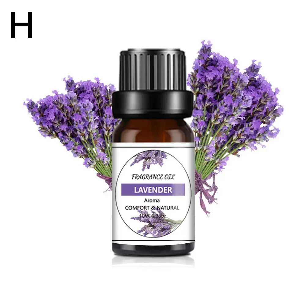 Recharge de Parfum Voiture 10ML – Parfums Floraux & Fruités – Désodorisant Liquide Compatible Diffuseur Auto