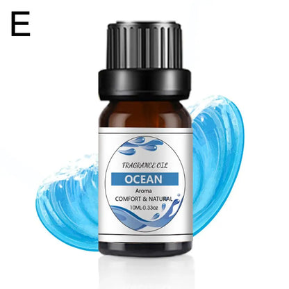 Recharge de Parfum Voiture 10ML – Parfums Floraux & Fruités – Désodorisant Liquide Compatible Diffuseur Auto