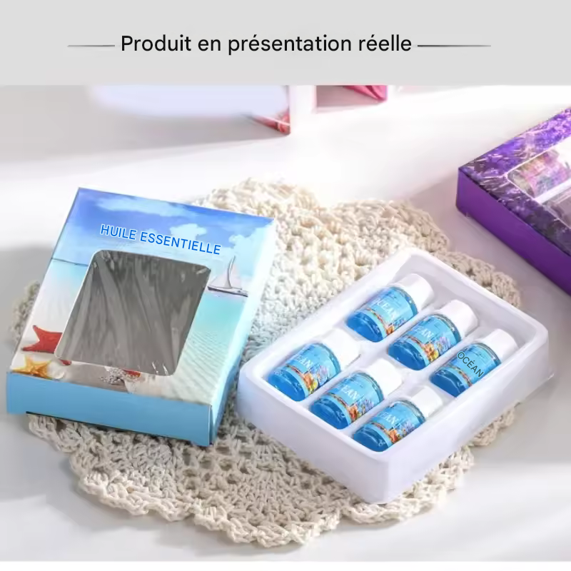 Coffret 6 Huiles Essentielles – Parfums Solubles dans l’Eau – Pour Diffuseur, Humidificateur, Parfum Voiture ou Recharge Désodorisant