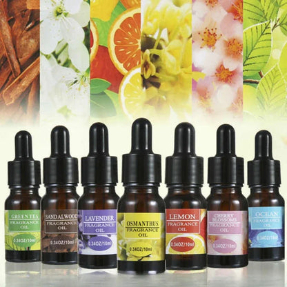 Recharge Huile Essentielle Aromathérapie 10ml – Parfum Voiture/Maison avec Compte-Gouttes | Purifiant Naturel, Non Toxique, Forme Liquide