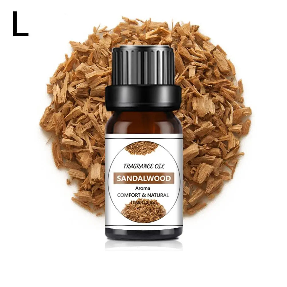 Recharge de Parfum Voiture 10ML – Parfums Floraux & Fruités – Désodorisant Liquide Compatible Diffuseur Auto