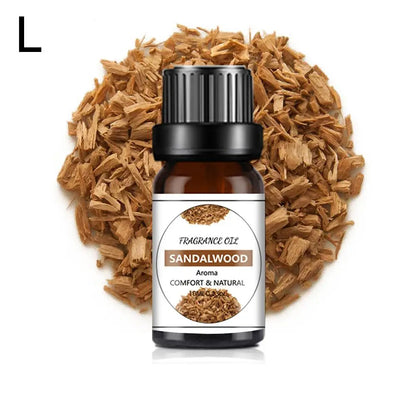 Recharge de Parfum Voiture 10ML – Parfums Floraux & Fruités – Désodorisant Liquide Compatible Diffuseur Auto