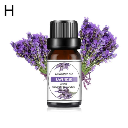 Recharge de Parfum Voiture 10ML – Parfums Floraux & Fruités – Désodorisant Liquide Compatible Diffuseur Auto