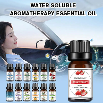 Recharge de Parfum Voiture 10ML – Parfums Floraux & Fruités – Désodorisant Liquide Compatible Diffuseur Auto